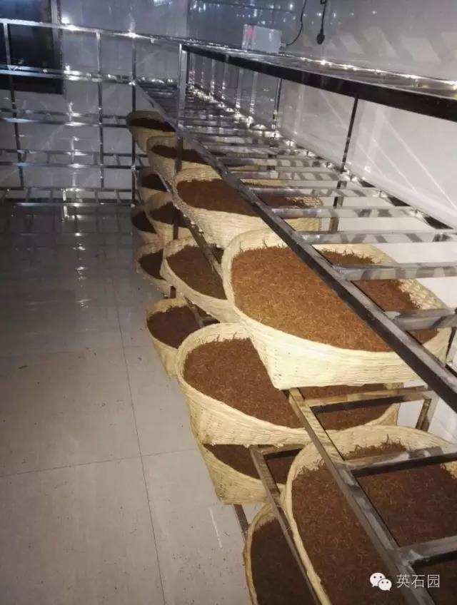 英石园红茶